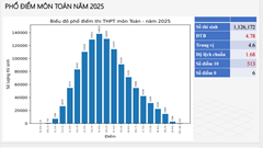 Tổng quan Phổ điểm môn Toán năm 2025