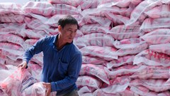 Hỗ trợ doanh nghiệp mở rộng thị trường, thúc đẩy xuất khẩu tại chỗ