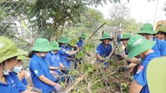 Nhiều hoạt động sôi nổi trong Tháng Thanh niên 2026 tại TP.HCM