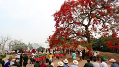 Miền Tây Bắc tưng bừng vui