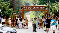 Ninh Bình kỳ vọng sẽ đón 550.000 lượt khách dịp lễ 30.4- 1.5