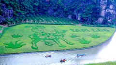 Tuần lễ du lịch Ninh Bình “Sắc vàng Tam Cốc - Tràng An” năm 2024 