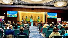 Bức tranh tươi sáng của ngành Du lịch 6 tháng đầu năm 2024