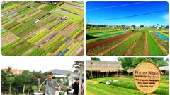 Việt Nam đăng cai Hội nghị quốc tế lần thứ nhất về Du lịch nông thôn