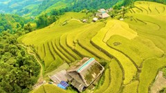 Việt Nam đứng thứ 7 trong số những điểm đến được yêu thích nhất thế giới