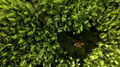 Cần thêm các chính sách thu hút các đoàn làm phim tới Việt Nam