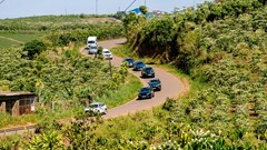 Bài 1: Khi những bánh xe mùa xuân lăn bánh