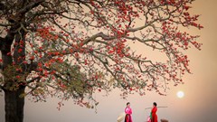 Sức hút từ du lịch hoa