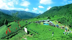 Thái Nguyên đẩy mạnh quảng bá du lịch gắn với văn hóa trà