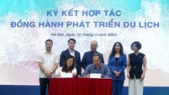 Khám phá Đà Nẵng 2025 với những hoạt động du lịch đa trải nghiệm 