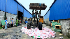 Quảng Ninh tiêu huỷ gần 2.000 gấu bông Baby Three do chứa chất gây ung thư