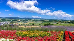 Cơ hội tăng trưởng du lịch song phương