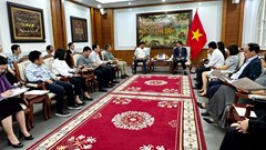 Quay phim ở Việt Nam, bán tour cho khách Ấn Độ