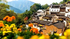 Doanh nhân trẻ thổi luồng sinh khí mới vào vùng nông thôn Trung Quốc