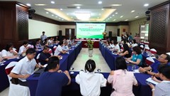 Nâng tầm giá trị nhãn hiệu du lịch xanh VITA Green 