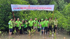 Khẳng định bản sắc và tầm nhìn phát triển bền vững