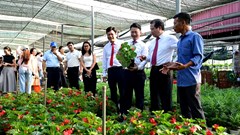 Hà Nội kiến tạo hệ sinh thái sản phẩm du lịch bền vững