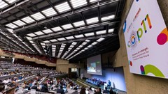 Thế giới cần phải cùng nhau hành động bảo vệ tương lai