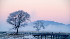 Tăng sức hút du lịch mùa Đông