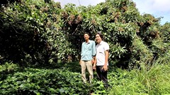 Thanh niên và sự chuyển dịch ý thức môi trường ở nông thôn Việt Nam