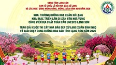 Sắc đào xứ Lạng - kết nối muôn phương
