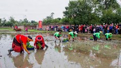 336 lễ hội đầu xuân 2026 ở Thái Nguyên