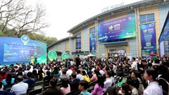 Kết nối dòng chảy tăng trưởng xanh và chuyển đổi số