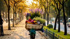 Top 10 thành phố nhiều màu sắc nhất thế giới 