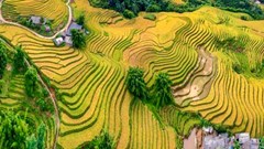 Lào Cai: Cho vay ưu đãi để khơi thông nguồn lực phát triển du lịch cộng đồng