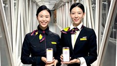 Hãng hàng không ngừng cho tiếp viên mới nhận việc, cắt gần 200 chuyến bay quốc tế