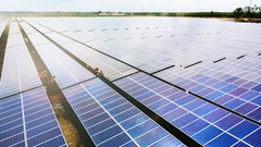 Bamboo Capital đạt doanh thu 985 tỷ đồng trong quý 1/2024, mảng năng lượng tái tạo đóng góp lớn