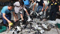 Bảy hình tội lớn – “Cò tặc” chiếm ba!