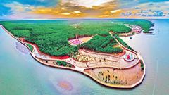 Chuỗi hoạt động quảng bá, nâng tầm thương hiệu du lịch Cà Mau