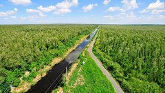 Cà Mau tăng cường phòng chống cháy rừng, bảo vệ đa dạng sinh học