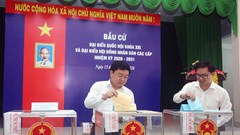 Cử tri Tây Ninh phấn khởi đi bầu cử từ sớm 