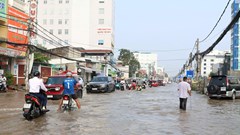 Cần Thơ tăng cường ứng phó mưa, bão và triều cường 