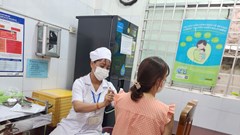 Nhiều trường hợp tử vong do bệnh dại, Vĩnh Long tăng cường giải pháp phòng, chống