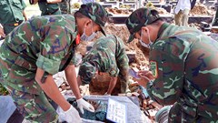 Đồng Tháp đã quy tập được 235 bộ hài cốt liệt sĩ