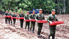 Hơn 700 bộ hài cốt liệt sĩ đã được quy tập tại Công viên Lê Thị Riêng 