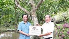Đánh thức vốn văn hóa trong phát triển nông nghiệp, nông thôn