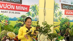 Vĩnh Long khai mạc sự kiện livestream “Cộng đồng Chợ Lách vươn mình”