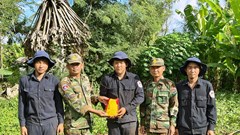 Phát hiện, quy tập thêm 196 hài cốt liệt sĩ tại Campuchia 