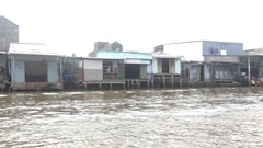 Cà Mau tính toán di dời 3.255 hộ khỏi khu vực thiên tai với chi phí hơn 884 tỉ đồng