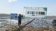 Nhiều phụ nữ và đồng bào dân tộc thiểu số được hưởng lợi từ dự án lúa gạo bền vững ở ĐBSCL