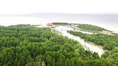 Vietjet dự kiến khai thác đường bay Hà Nội - Cà Mau từ ngày 29.11, góp phần phát triển du lịch