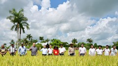 “Hạt giống hạnh phúc” phát sóng song song Việt Nam – Cuba