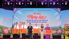Đồng Tháp giành giải Nhất toàn đoàn tại Ngày hội Gia đình tiêu biểu khu vực phía Nam
