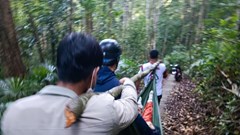 Gia Lai: Nữ du khách đi du lịch bị cây ngã đè tử vong