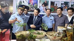 Kon Tum: Nhiều kỳ vọng từ Hội thảo sâm Ngọc Linh 
