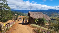 Xử phạt chủ cơ sở du lịch trái phép gây mất an toàn giao thông 31,5 triệu đồng, buộc trả lại hiện trạng ban đầu